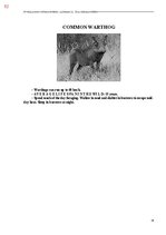 E-book 'Тайный остров', 410.