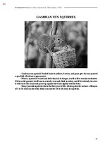 E-book 'Тайный остров', 412.