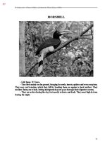 E-book 'Тайный остров', 415.