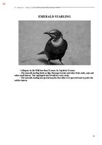 E-book 'Тайный остров', 416.