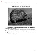 E-book 'Тайный остров', 417.
