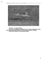 E-book 'Тайный остров', 418.