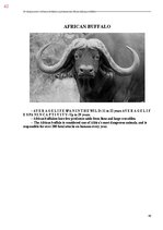 E-book 'Тайный остров', 420.