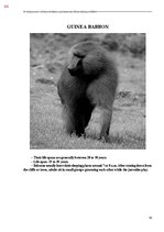 E-book 'Тайный остров', 422.