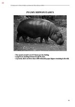 E-book 'Тайный остров', 423.