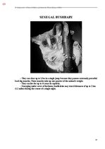 E-book 'Тайный остров', 427.