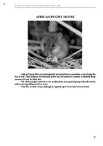 E-book 'Тайный остров', 428.