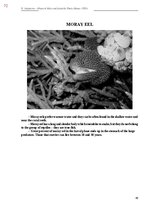 E-book 'Тайный остров', 430.