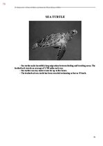 E-book 'Тайный остров', 431.