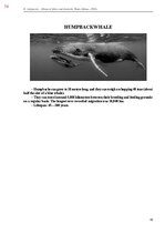 E-book 'Тайный остров', 432.