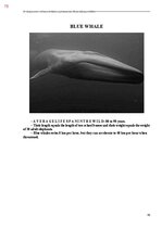 E-book 'Тайный остров', 433.