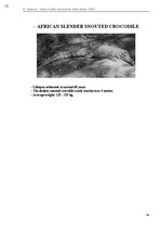 E-book 'Тайный остров', 436.