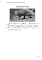 E-book 'Тайный остров', 437.