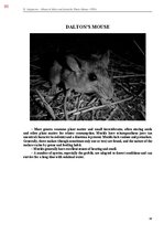 E-book 'Тайный остров', 438.