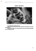 E-book 'Тайный остров', 440.