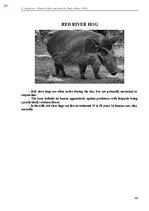E-book 'Тайный остров', 442.