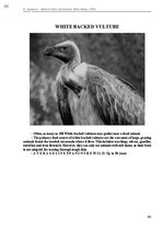 E-book 'Тайный остров', 443.