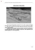 E-book 'Тайный остров', 446.