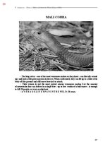 E-book 'Тайный остров', 447.
