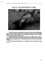 E-book 'Тайный остров', 448.