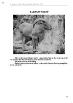 E-book 'Тайный остров', 452.