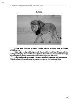 E-book 'Тайный остров', 453.