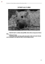 E-book 'Тайный остров', 457.