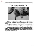E-book 'Тайный остров', 458.