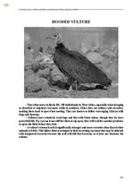 E-book 'Тайный остров', 461.