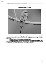 E-book 'Тайный остров', 462.