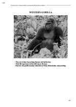 E-book 'Тайный остров', 463.