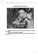 E-book 'Тайный остров', 467.