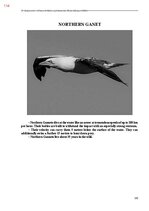E-book 'Тайный остров', 472.
