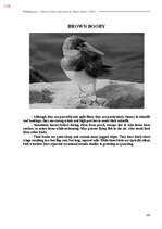 E-book 'Тайный остров', 473.