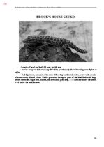 E-book 'Тайный остров', 476.