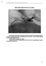 E-book 'Тайный остров', 477.