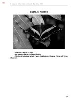 E-book 'Тайный остров', 478.