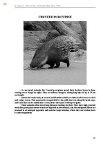 E-book 'Тайный остров', 481.