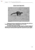 E-book 'Тайный остров', 482.
