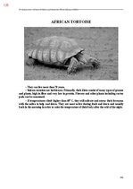 E-book 'Тайный остров', 483.