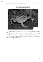 E-book 'Тайный остров', 487.