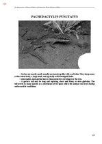 E-book 'Тайный остров', 489.