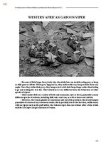 E-book 'Тайный остров', 491.