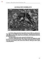E-book 'Тайный остров', 492.