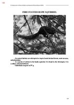 E-book 'Тайный остров', 493.
