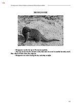 E-book 'Тайный остров', 494.