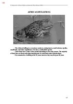 E-book 'Тайный остров', 496.