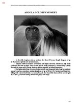E-book 'Тайный остров', 497.