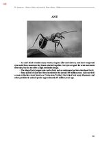 E-book 'Тайный остров', 503.