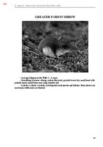E-book 'Тайный остров', 508.